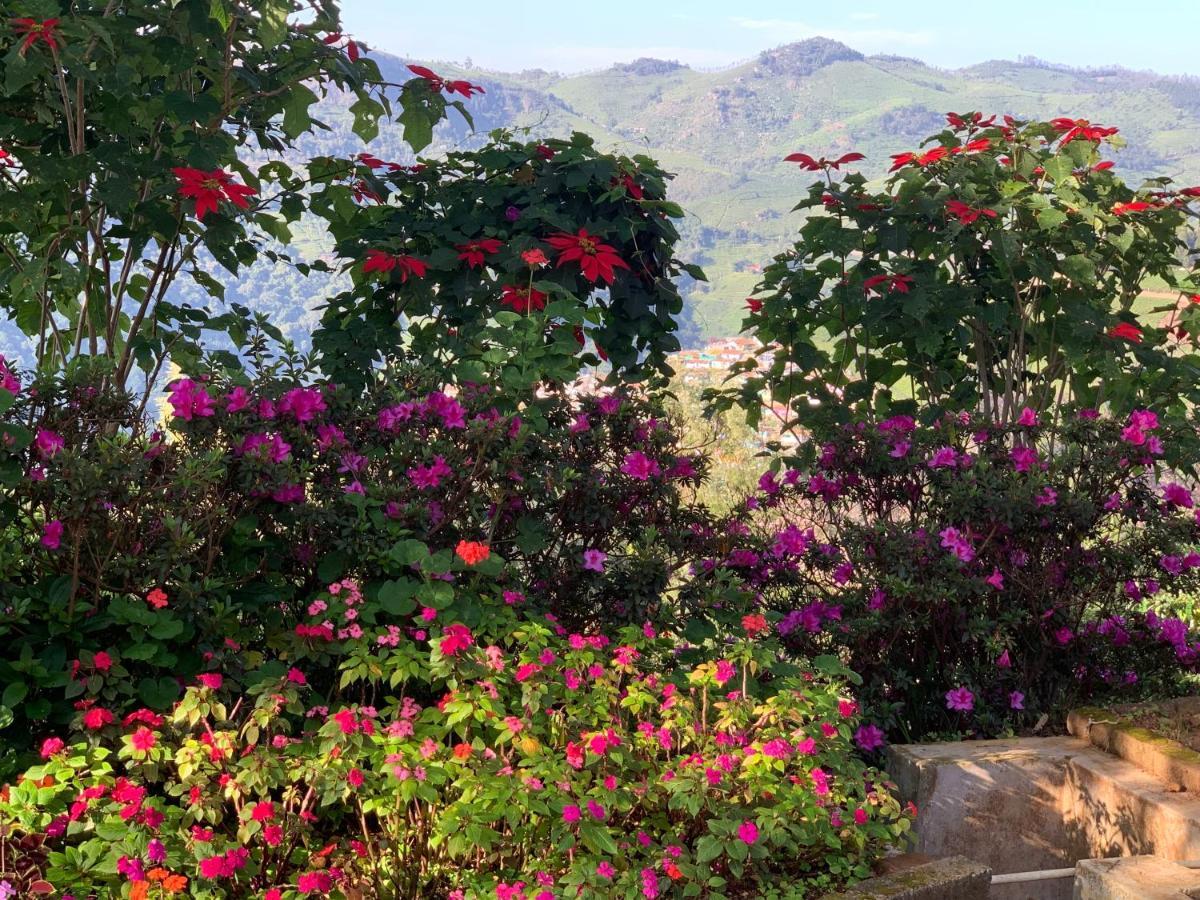 Bed and Breakfast Camellia Heights 1&2 Coonoor Exteriér fotografie